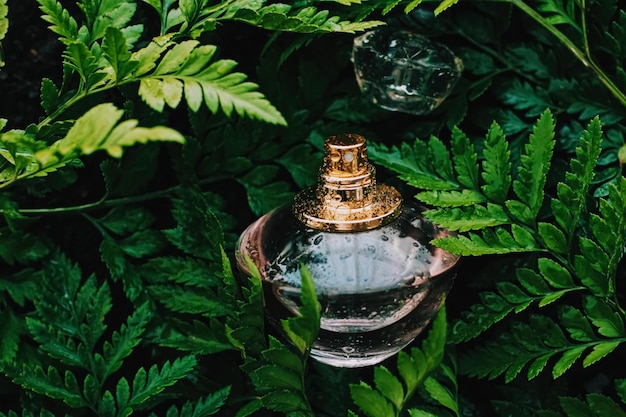 Eden perfumy do prania które odświeżają ubrania naturalnie