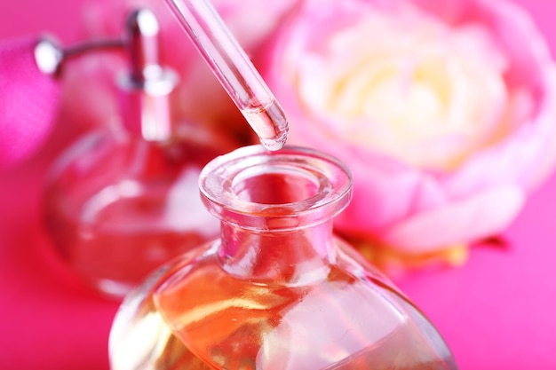 Perfumy damskie Douglas które warto znać