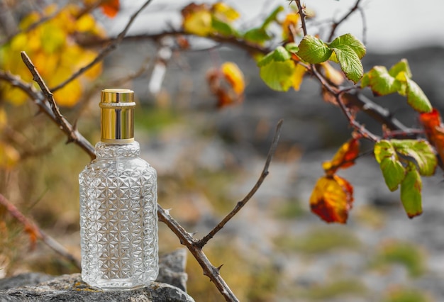 Phantom Perfumy które warto znać tej wiosny