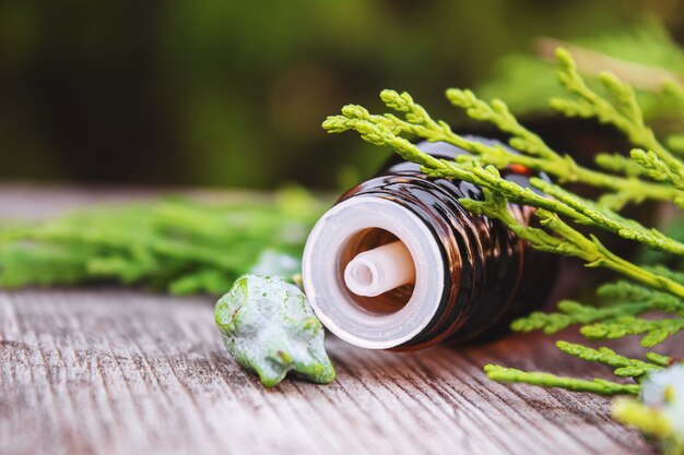 Flow bajka: naturalna droga do twórczej energii