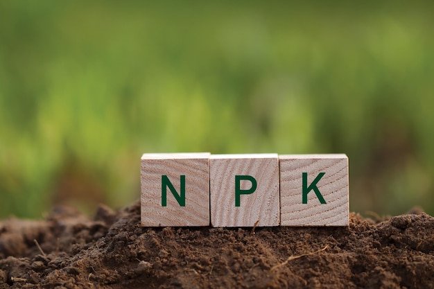 Farba wapienna naturalny wybór do wnętrz